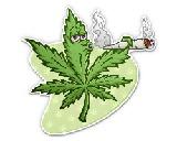 weedsmoker's Avatar