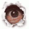 redeye_joe's Avatar